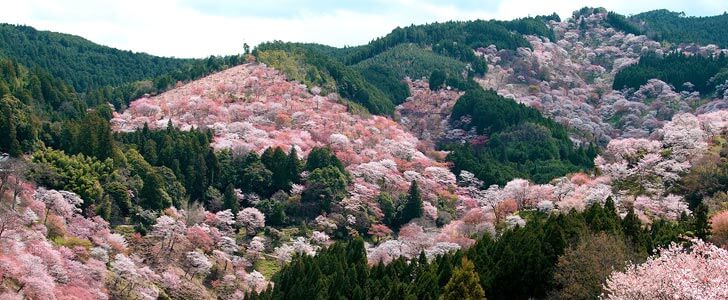 4月の登山におすすめの滋賀県の山