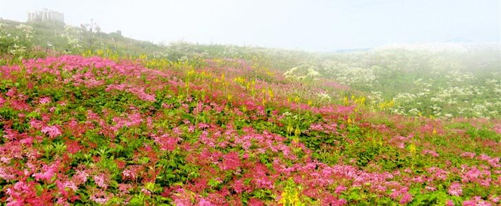 6月の登山におすすめの福島県の山